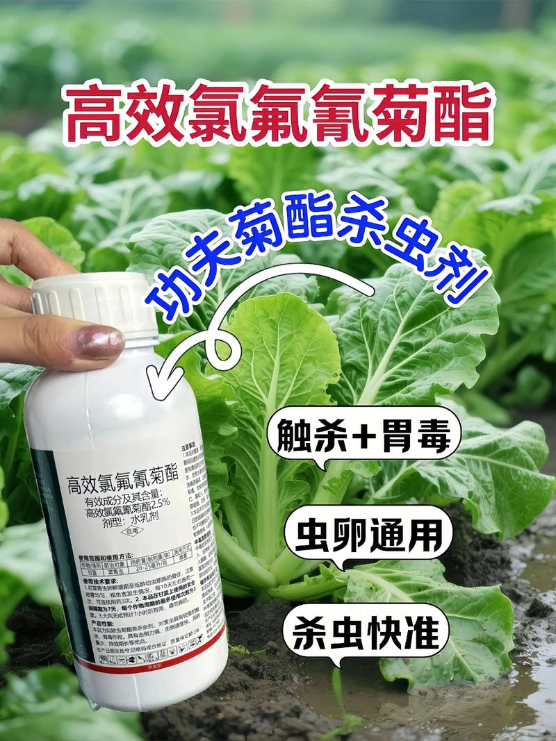 甘南代生中心:农药对供卵代生妈妈的危害